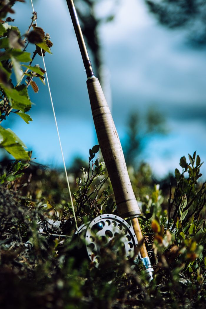 Vara de pesca em detalhe