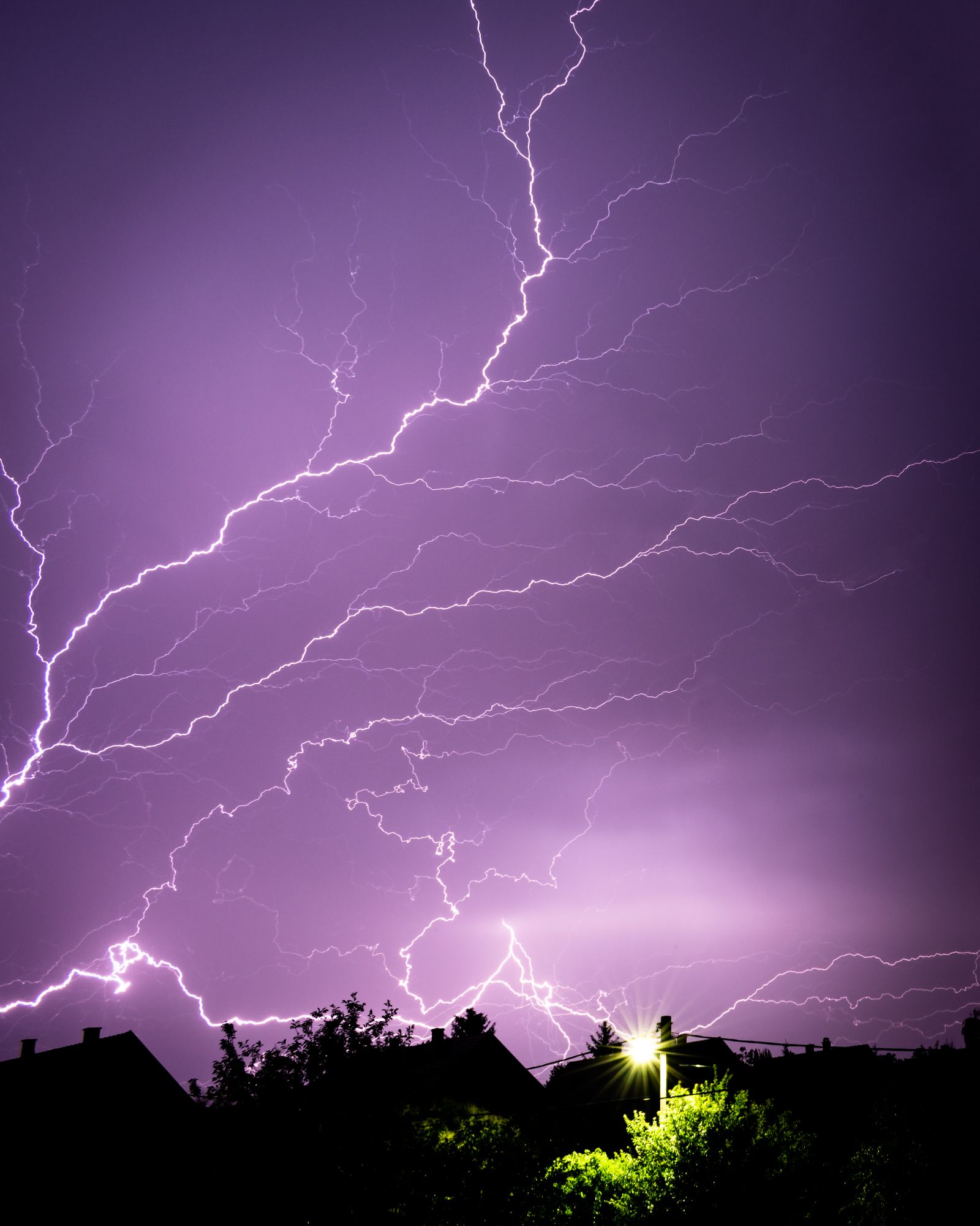 Whole-House Surge Protector Installation Cost: What You'll Actually Pay