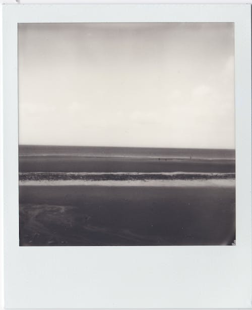늙은, 바다, 블랙 앤 화이트의 무료 스톡 사진