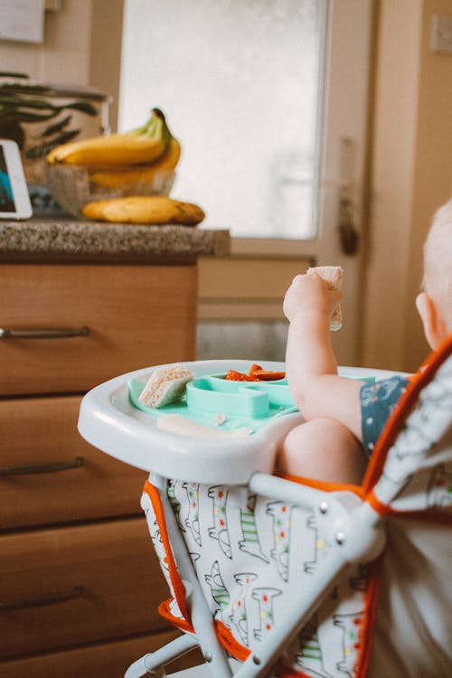 Free Back View Shot of a Baby Holding a Food while Sitting on a High Chair Stock Photo