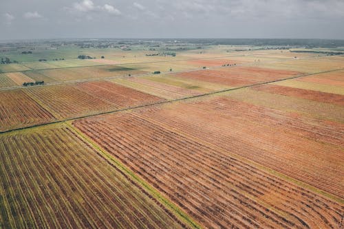 Aerial view of well groomed picturesque agricultural fields in countryside against cloudy sky