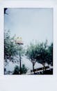 Blurred Shot of Mcdonalds Sign Near Trees