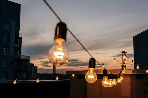 Free Lighted String Lights during Night Time Stock Photo