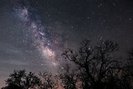 伊朗哈梅丹的壮丽银河景色中，树木映出剪影