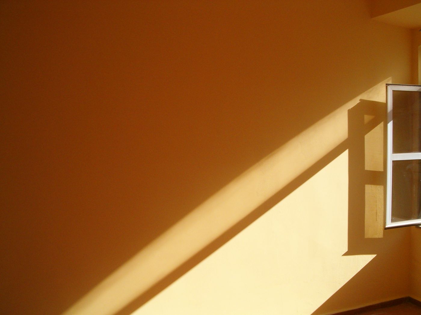 What LGBTQ Life Coaching Services Actually Include