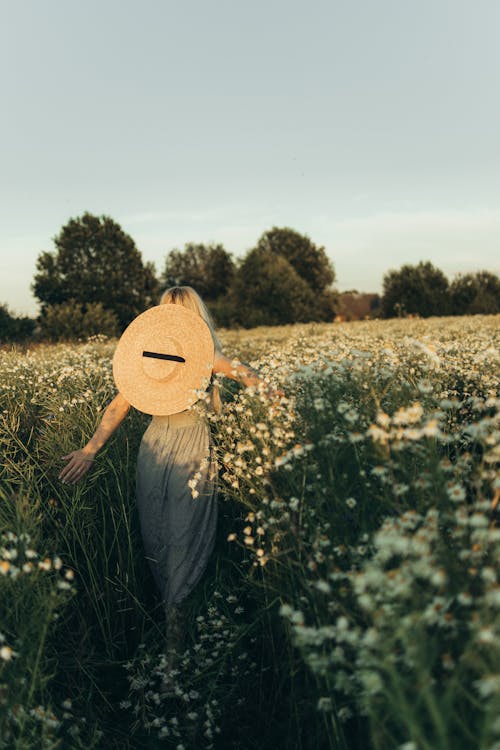 Back View of a Person with Sun Hat Standing on Flower Field