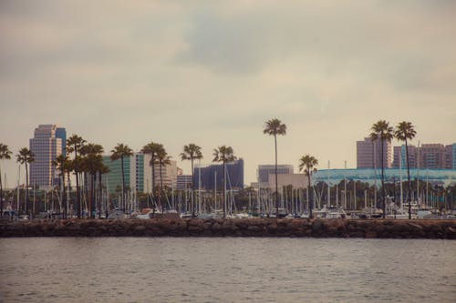 Foto profissional grátis de centro da cidade, litoral, paisagem