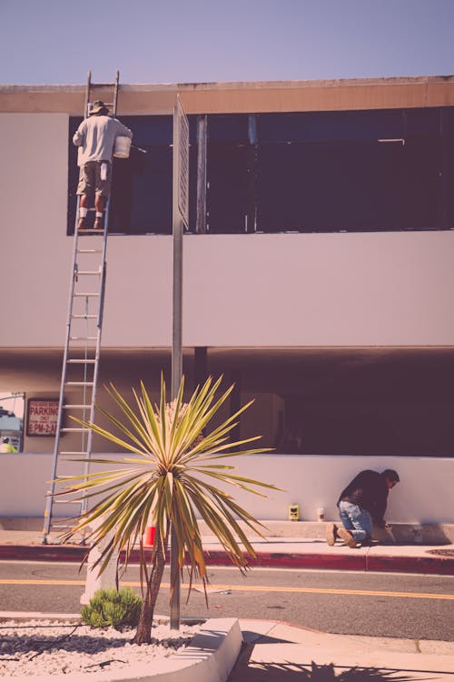 Free stock photo of ladder, man painting, men working