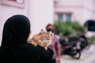 在马尔代夫马累，一名戴头巾的妇女在户外抱着虎斑猫，捕捉陪伴的瞬间