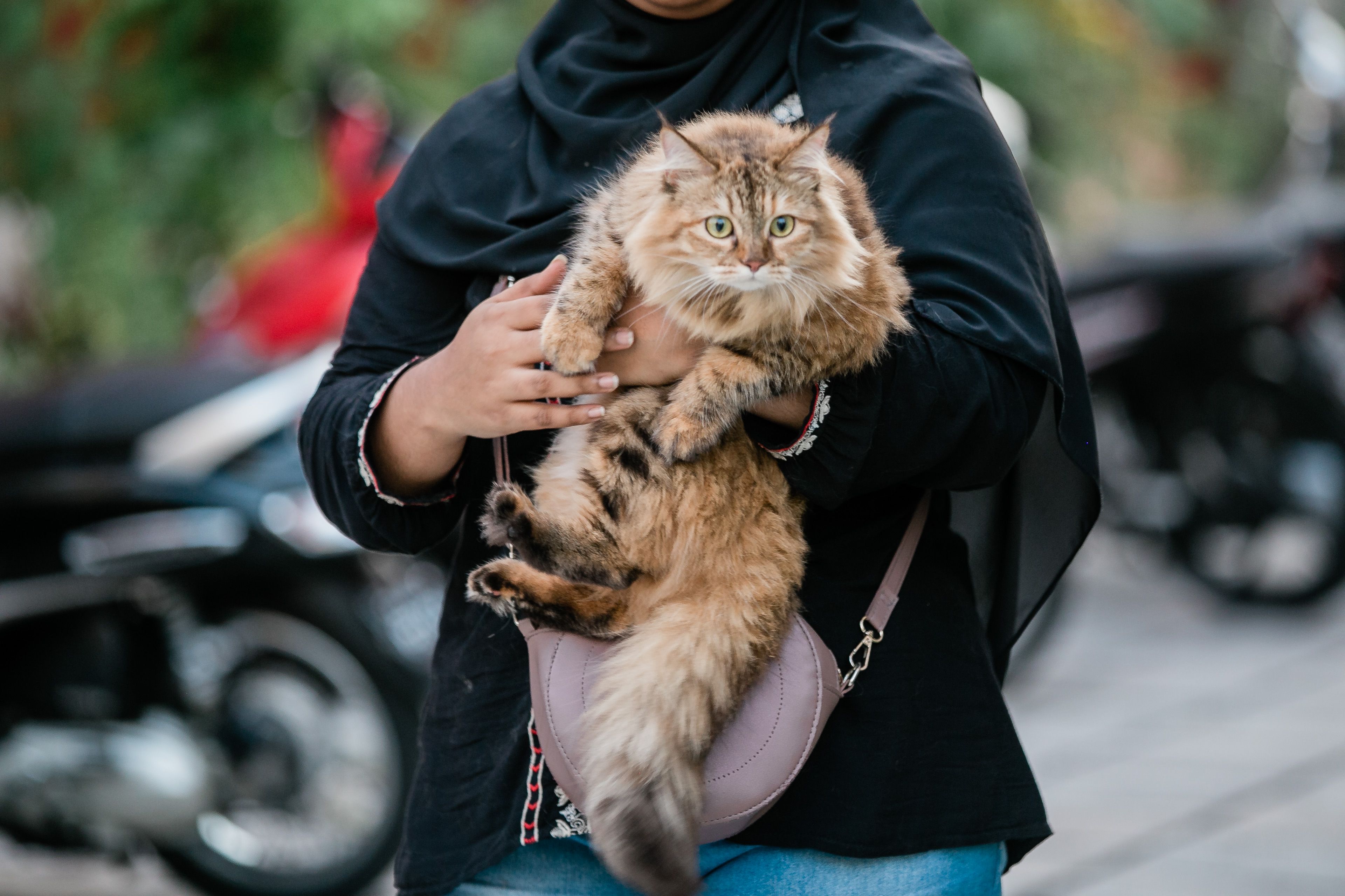 Sherina Munaf Kelelahan Usai Diklarifikasi Polisi soal Penemuan Kucing Uya Kuya