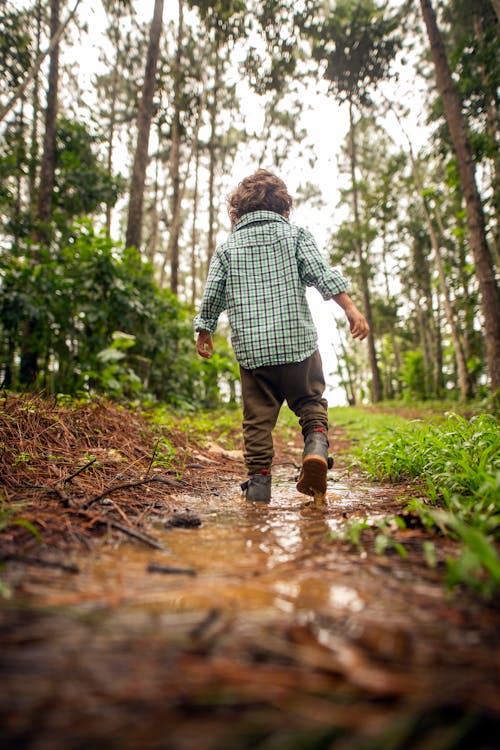 Back view full body cute little boy in casual outfit strolling dirt lane covered with puddles in green abundant woods