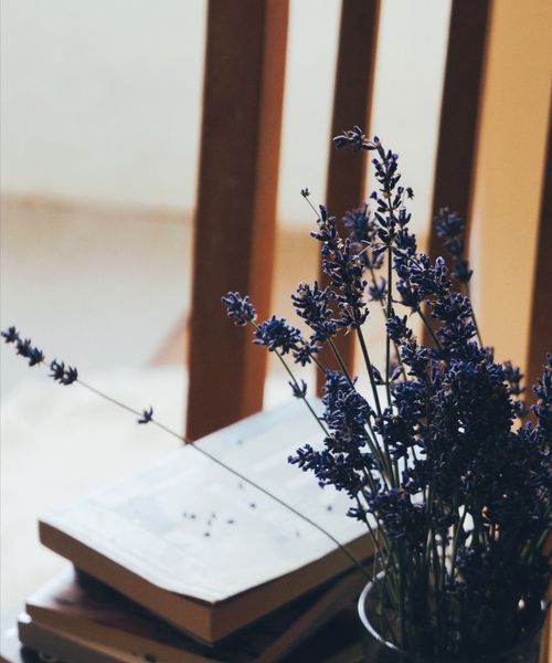 Free Serene still life featuring a lavender bouquet and stack of books on a chair. Stock Photo