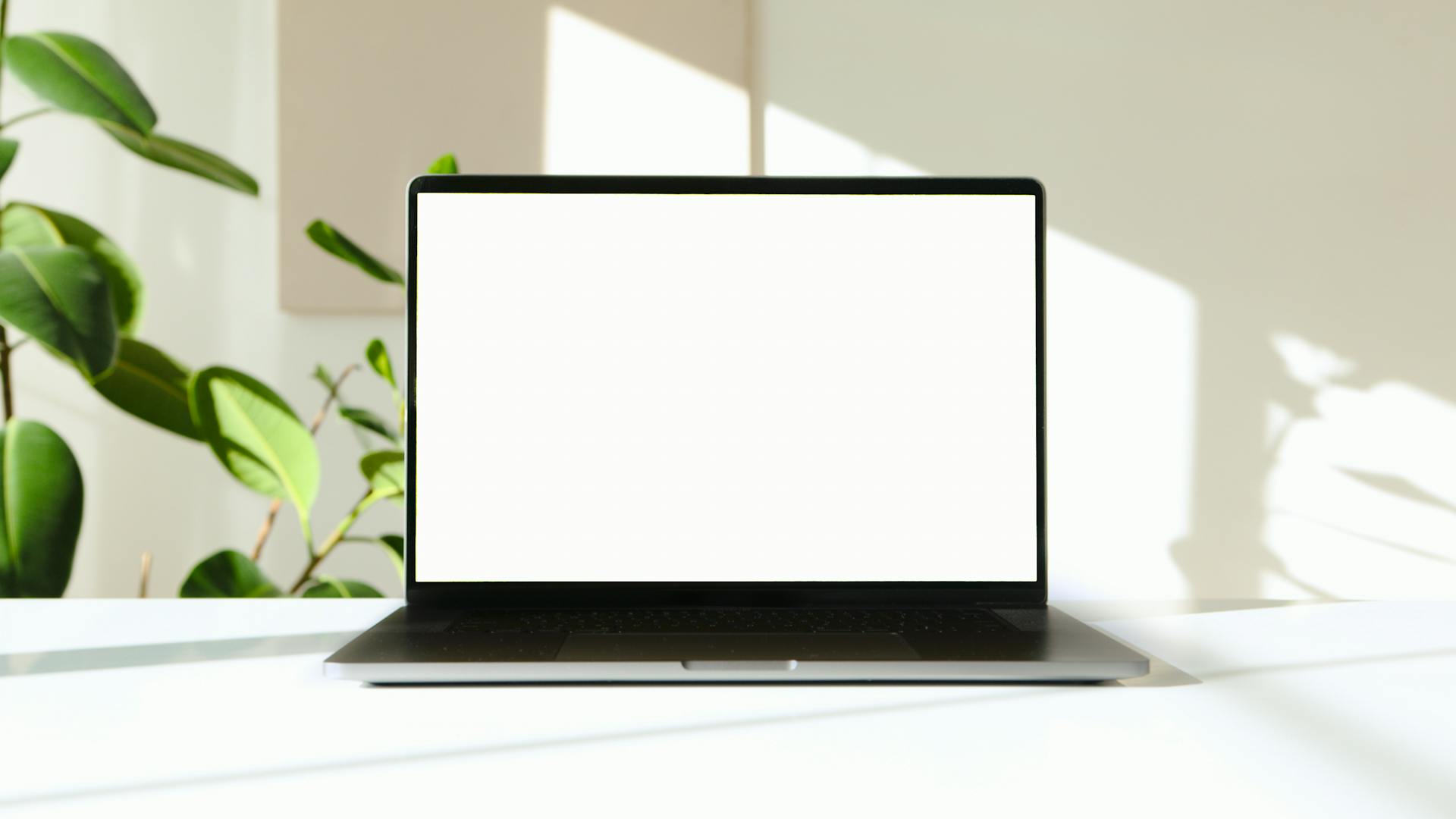 White Screen of a Laptop