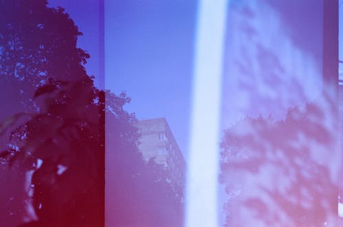 Double Exposure Photo of a Building in City and Trees