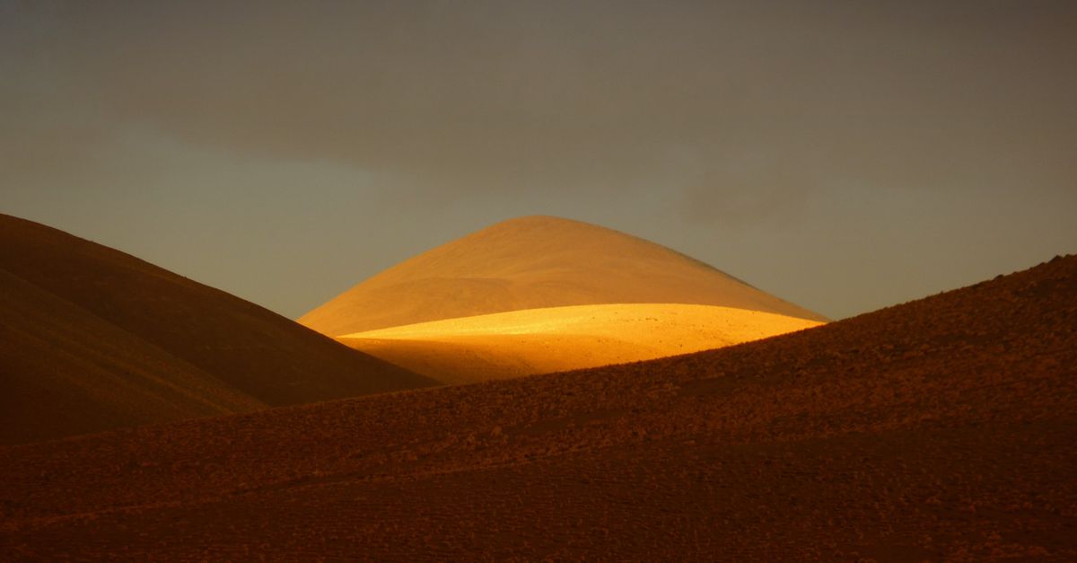 Vida en los límites: 8 desiertos y ambientes extremos con biodiversidad única Vida en los límites: 8 desiertos y ambientes extremos con biodiversidad única