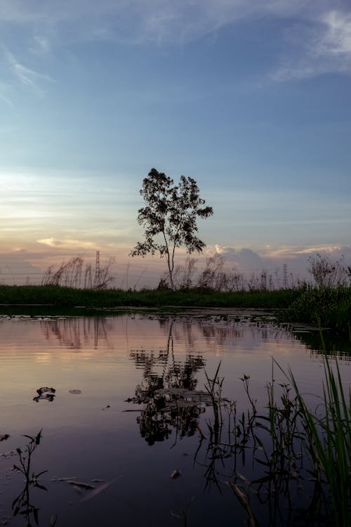 Dusk at Countryside Lake in Summer