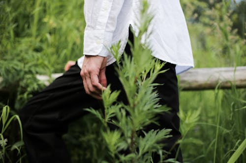 Person in White Long Sleeve Shirt and Black Pants