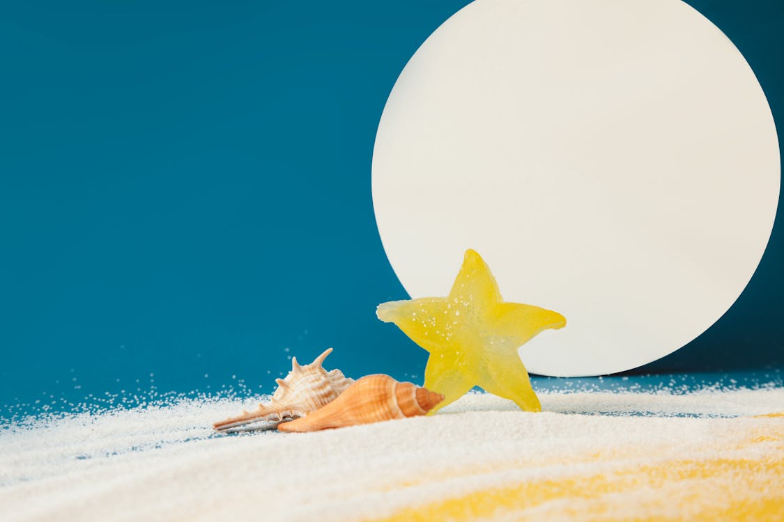Free stock photo of beach, sea, starfish