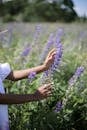 Purple Flowers on Persons Hand