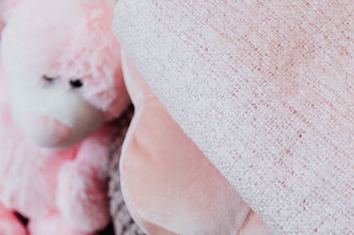 Free Pink Bear Plush Toy on Pink Textile Stock Photo