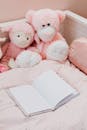 Blank Diary near Pink Stuffed Toys