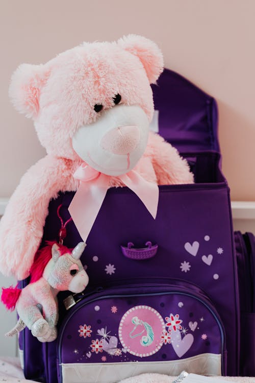 Free A Pink Teddy Bear inside a Bag Stock Photo