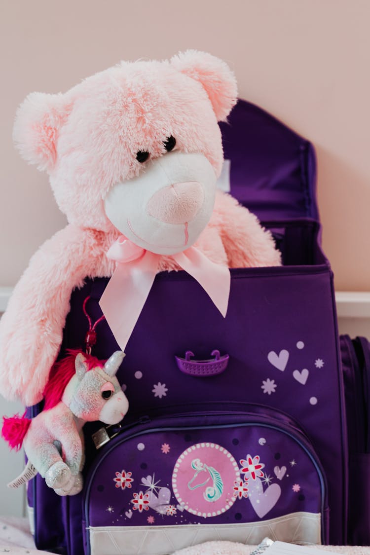 A Pink Teddy Bear Inside A Bag