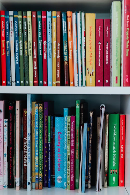 Free Books on the Bookshelf Stock Photo