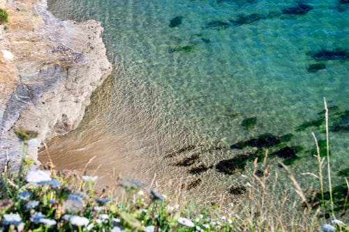 Бесплатное стоковое фото с береговая линия, вода, высокий угол обзора