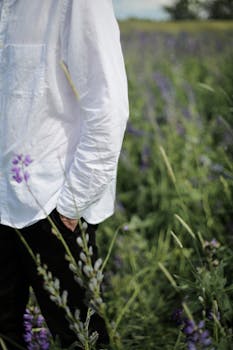 郁郁葱葱的芭蕉田野里，一个穿着白衬衫的人静静站着，透着宁静