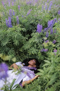 一名女子静静地躺在盛开的雨夹草田中，四周环绕着鲜艳的紫色花朵