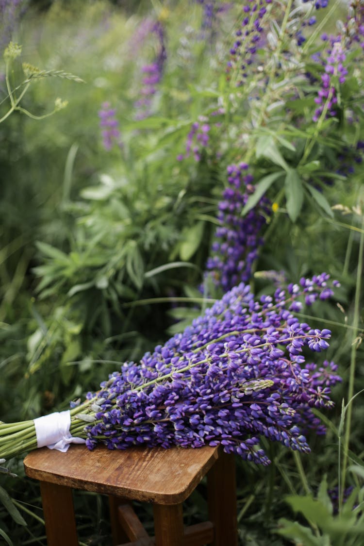 Purple Flower In Tilt Shift Lens