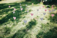 Pink and White Balloons on Green Grass Field