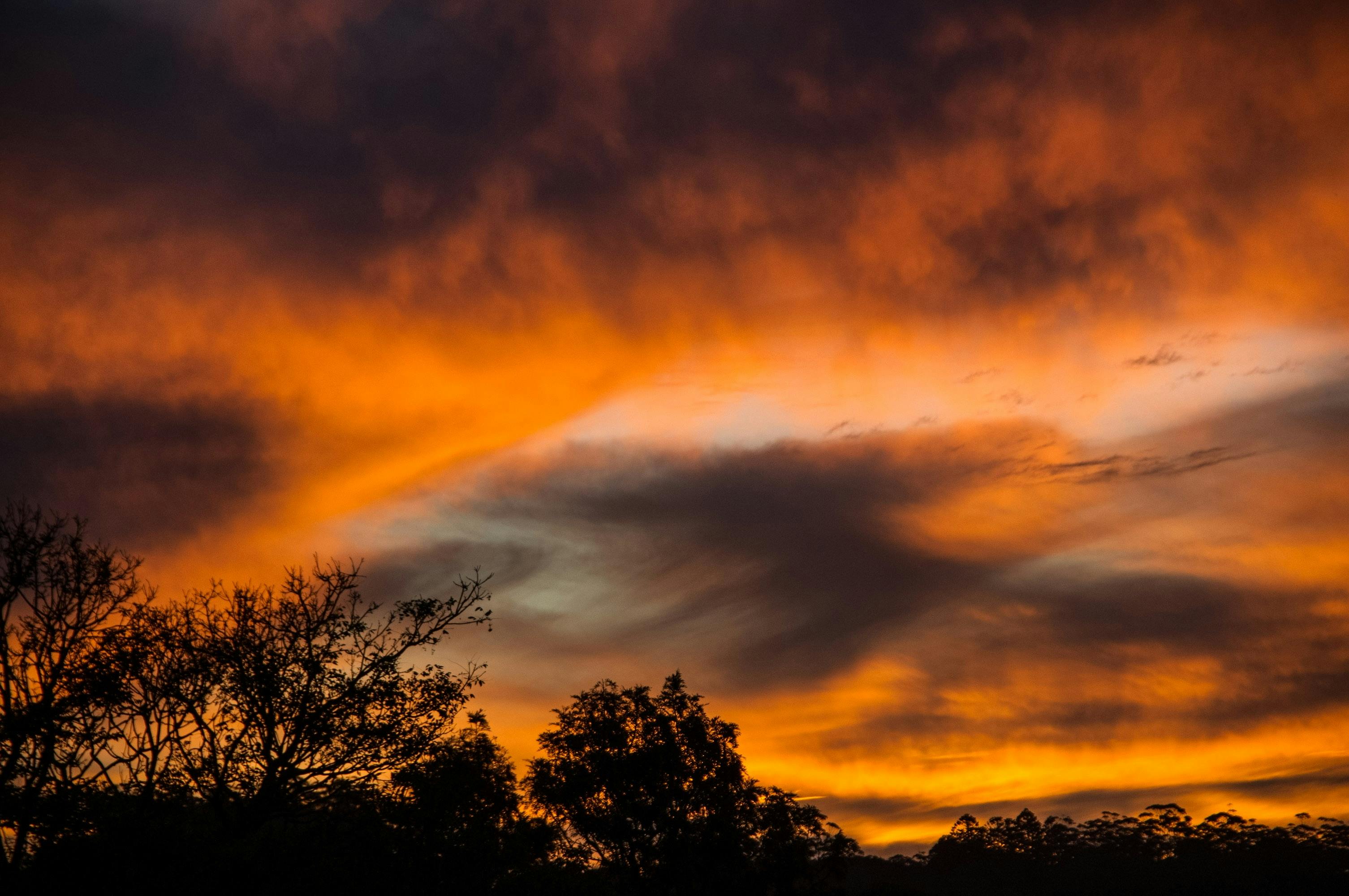 Free Vibrant sunset sky with dramatic clouds and silhouetted trees, showcasing nature's beauty. Stock Photo