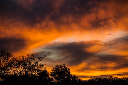 Bezpłatne Pomarańczowy Czarno Biały Widok Zachodu Słońca Zdjęcie z galerii