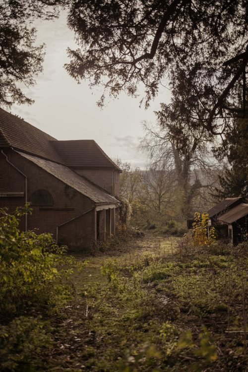 Free An atmospheric abandoned barn surrounded by autumn foliage in a peaceful rural setting. Stock Photo
