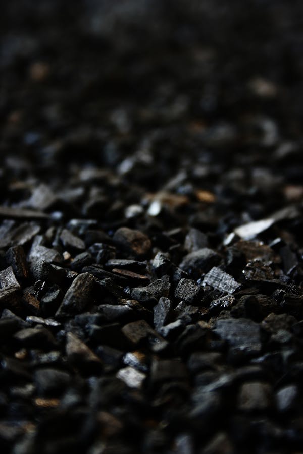 Black Charcoals