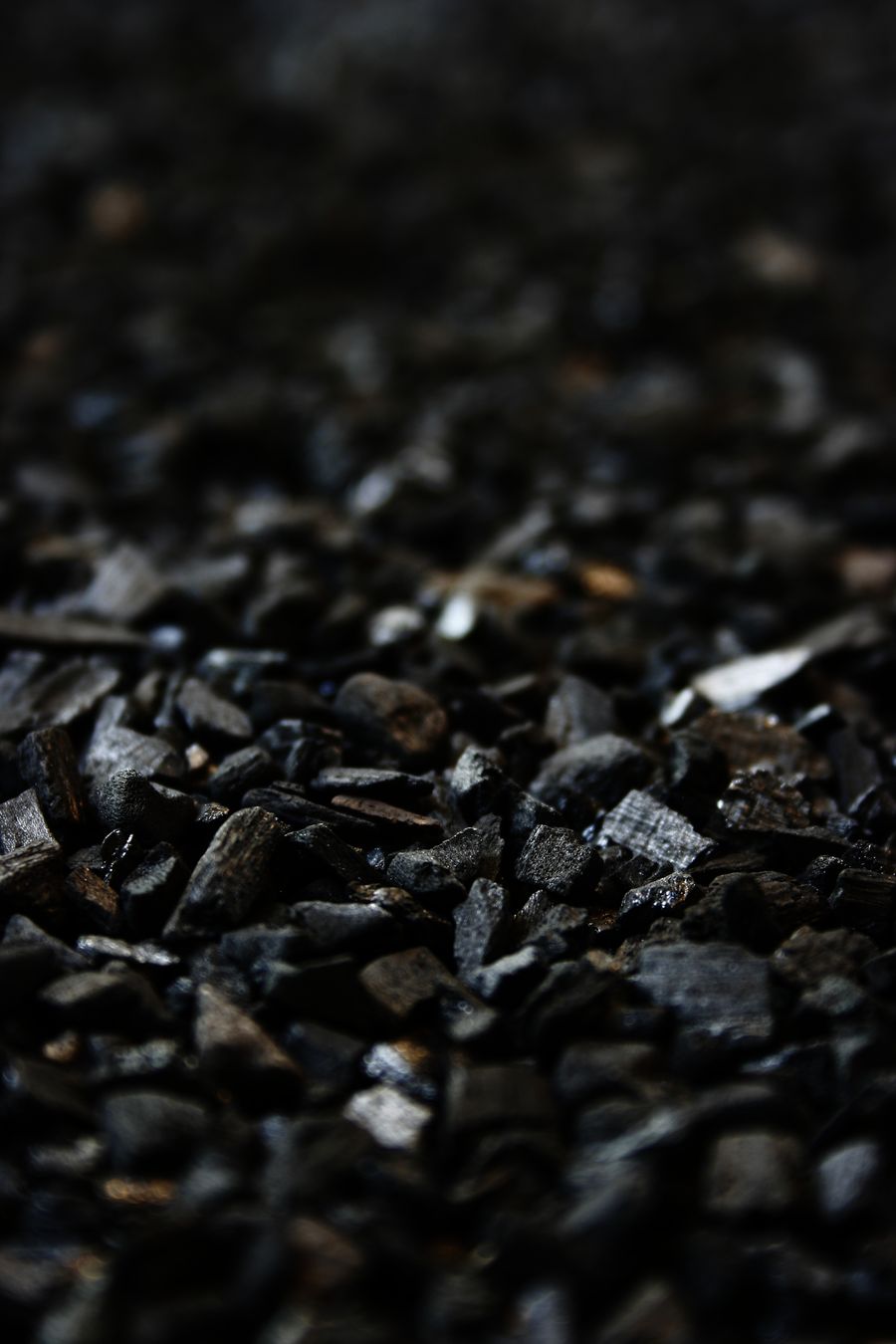 Coconut shell charcoal briquettes