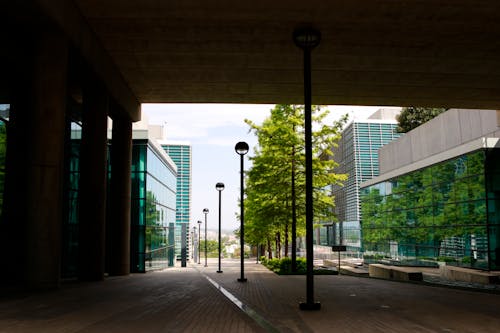 Základová fotografie zdarma na téma architektura, cityphotography, panoráma města