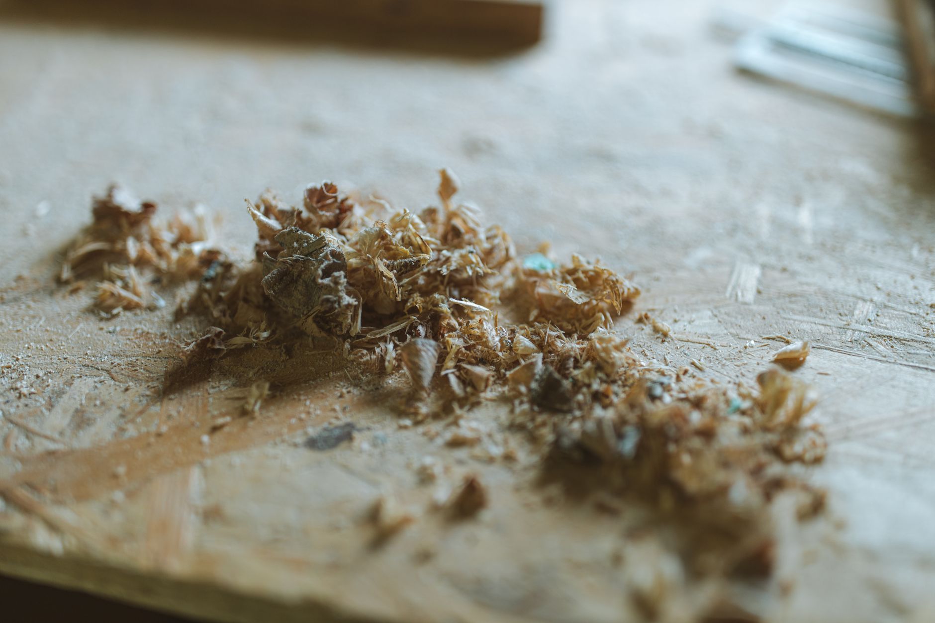 Best Vacuums for Workshop Sawdust 2026