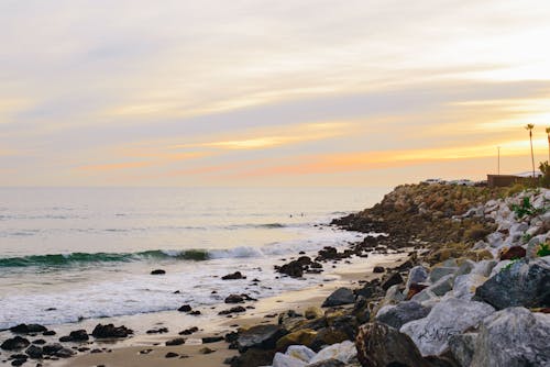 Základová fotografie zdarma na téma los angeles, malbiu, oceán