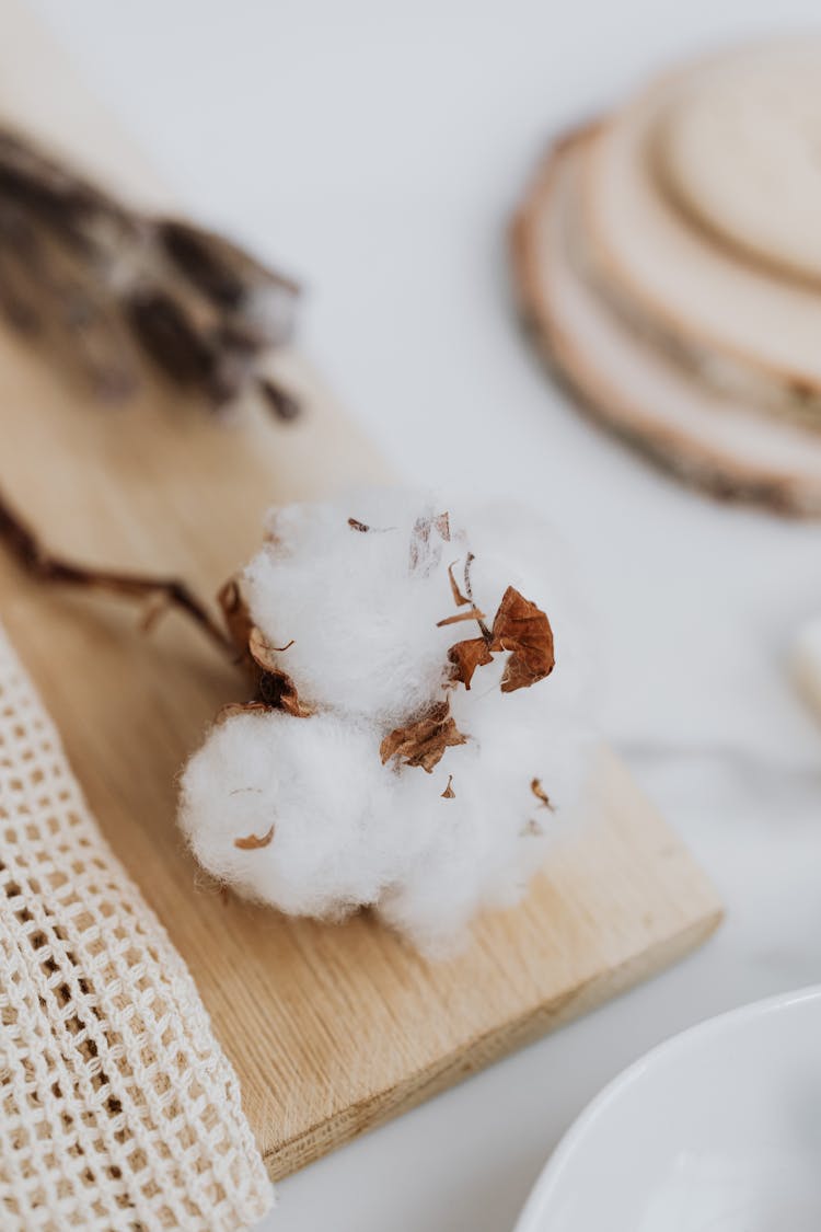 Cotton Flower On Wooden Board