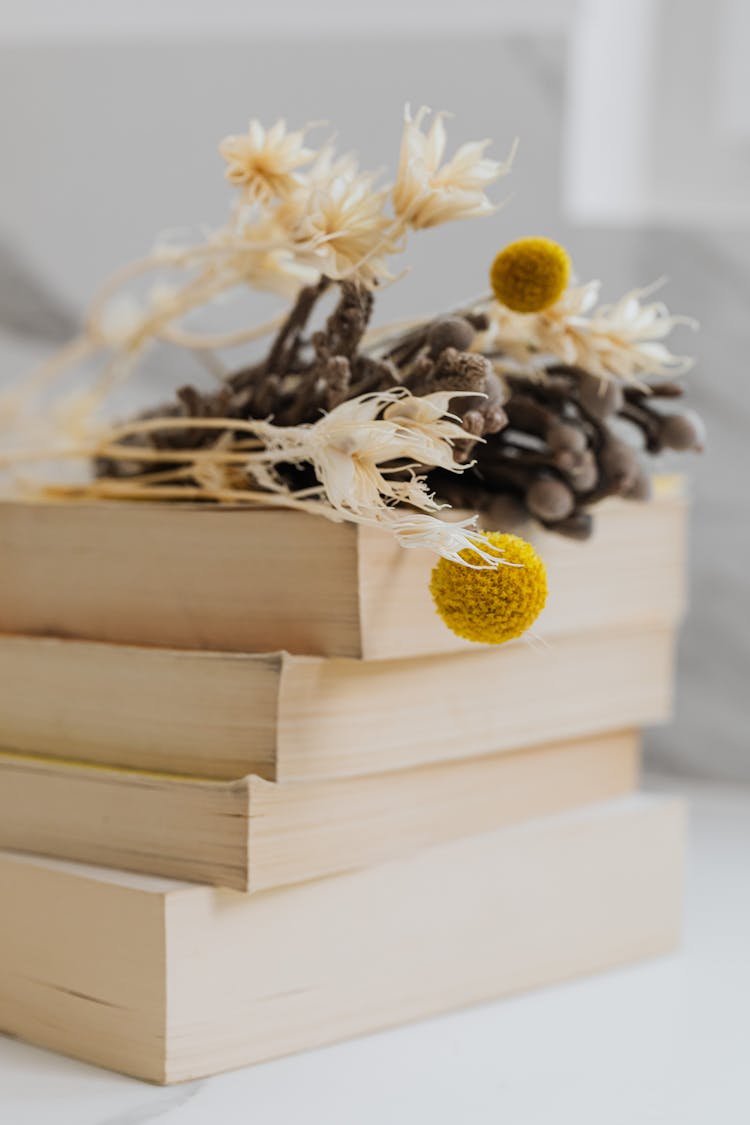 Photograph Of Flowers On Top Of A Pile Of Books