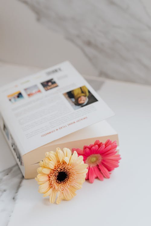 Gratis stockfoto met bloemen, boek, gerbera's