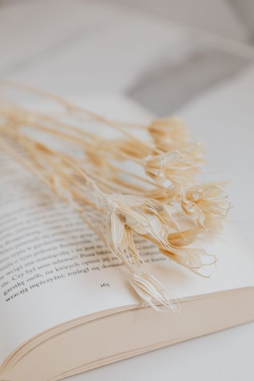 Free Aesthetic still life of dried flowers laid on an open book, perfect for artistic concepts. Stock Photo