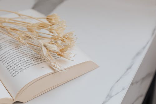 Free Dried Flowers on the Open Book Stock Photo