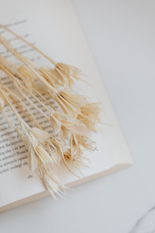 Free Serene close-up of dried flowers on an open book creating calm conceptual still life. Stock Photo