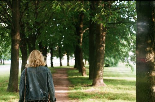 Free Back view of unrecognizable female with blond hair in casual wearing strolling in sunny green park Stock Photo