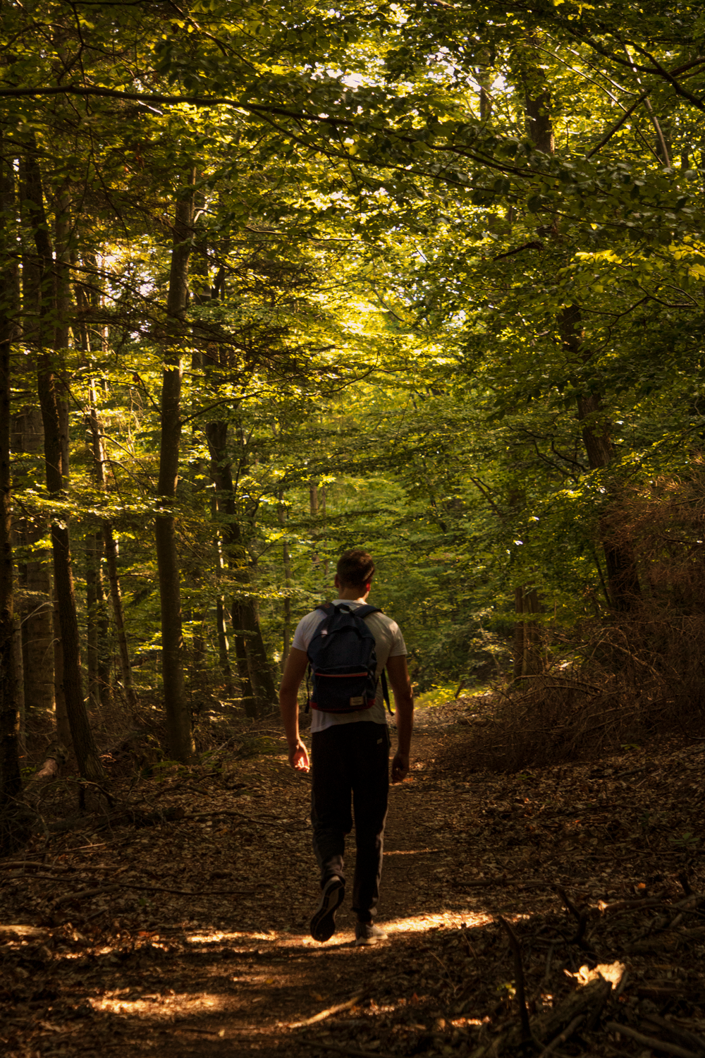 Guy In Nature A Man Hiking in the Forest · Free Stock Photo