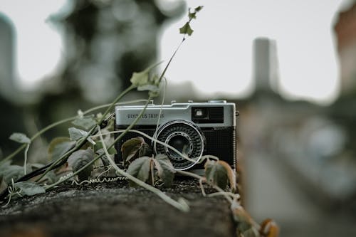 Photo of a Vintage Camera Near Green Leaves